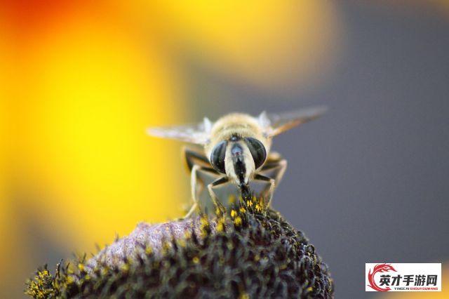 遗落战境：无声的厮杀与沉寂的荣耀，历史之战争遗迹的血泪探索与文化遗产的挖掘